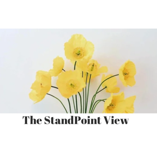 Standpoint Are You Giving Your Toddler Too Many Options? Here’s What I Learned ...